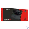 Kép 4/7 - Rampage Billentyűzet - PLOWER K60 Black US (Vezetékes, Mechanikus, Blue switch, angol, fekete, RGB LED)
