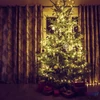 Kép 4/5 - Fényfüzér, 50 db LED, melegfehér, hálózati, 5 m, 8 program