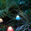 Kép 3/3 - LED-es szolár lámpa, 12 db mini gomba, színes, 28,5 cm x 4 m