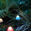 Kép 3/3 - LED-es szolár lámpa, 12 db mini gomba, színes, 28,5 cm x 4 m