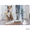 Kép 3/8 - Bissell CrossWave Hydrosteam Pet Pro gőzölős takarítógép
