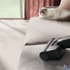 Kép 8/11 - Electrolux EP71AB14UG Animal 700 vezeték nélküli álló porszívó gazdiknak