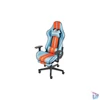 Kép 3/6 - RAIDMAX Drakon DK905 kék gamer szék