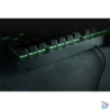 Kép 7/7 - Razer BlackWidow V3 Tenkeyless (Green Switch) US RGB gamer billentyűzet
