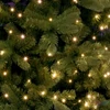 Kép 1/3 - Home ML 250G/WW micro LED-es fényfüzérköteg, 250 db melegfehér micro LED, 10 ágú, vékony, zöld színű vezeték, hálózati adapter, kül- és beltéri kivitel