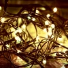 Kép 2/6 - Home LED 108C/WW LED-es fényfüzér, 7 m / 100 db melegfehér LED, 8 fényprogram, zöld vezeték, hálózati adapter, kül- és beltéri kivitel