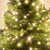 Kép 3/4 - Home KII 50/WW LED-es fényfüzér, 4 m / 50 db melegfehér LED, állófényű, zöld vezeték, hálózati adapter, beltéri kivitel