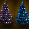 Kép 4/6 - Home ML 112 RGB micro LED-es fényfüzér, 10 m / 100 db RGB micro LED, 12 fényprogram, távirányító, USB csatlakozó, kül- és beltéri kivitel