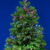 Kép 1/2 - iSparkle LEDS120V-C micro LED-es cluster fényfüzér, 3 m / 120 db RGB LED, applikációval vezérelhető, smart, kül- és beltéri kivitel