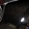 Kép 4/4 - NEBO NEB-7007-G Angle Light, 220 lm, mágneses, akasztható, forgatható fejű lámpa